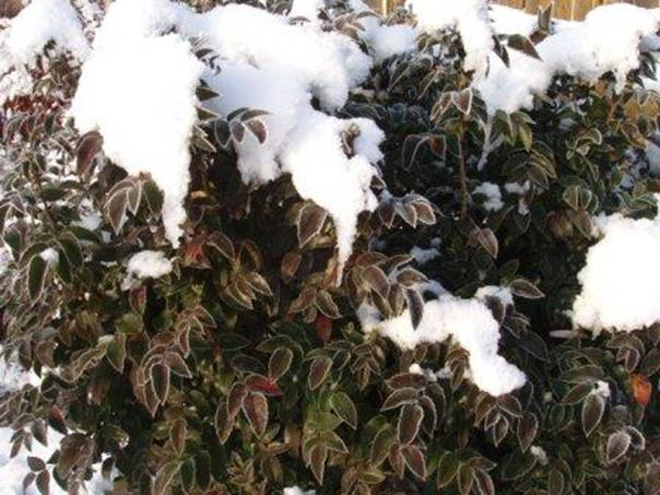 Tl 2012 dec 037