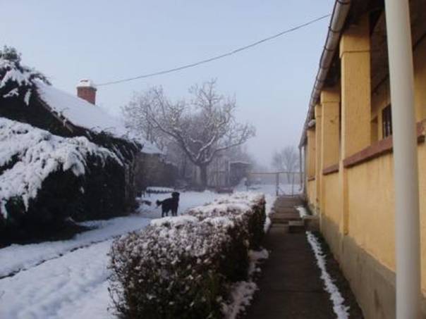 Tl 2012 dec 047