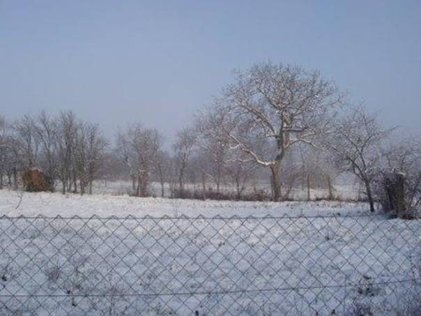 Tl 2012 dec 038