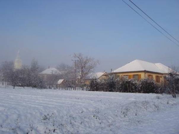 Tl 2012 dec 033