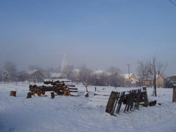 Tl 2012 dec 031