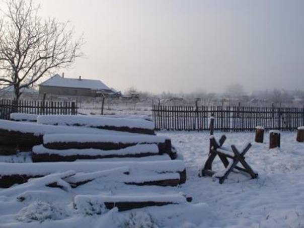 Tl 2012 dec 023