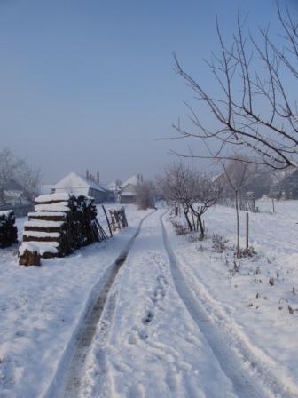 Tl 2012 dec 025