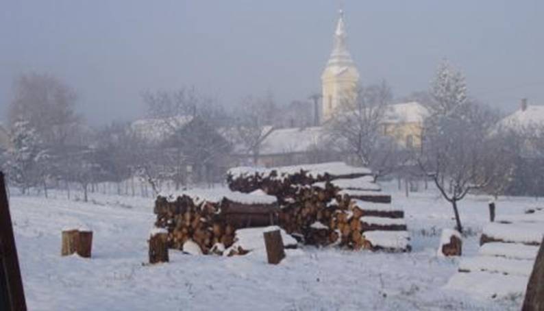 Tl 2012 dec 028