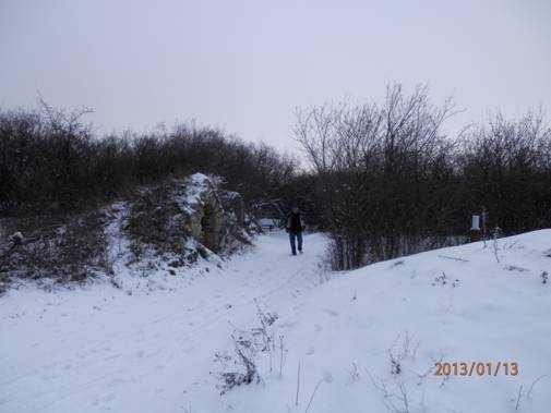 2013 jan 13 (9).JPG